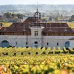 Château Angélus Saint-Émilion