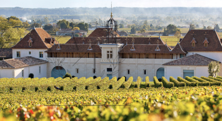 Château Angélus Saint-Émilion